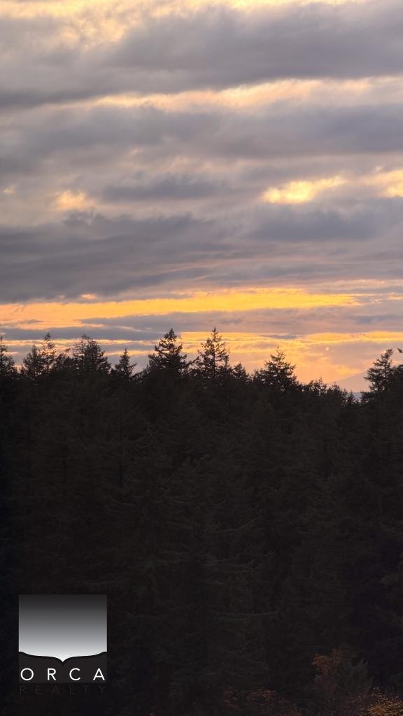 Serene sunset over lush forest in British Columbia - ideal for Vancouver real estate and property investments. Discover your dream home with Orca Realty Inc. today.