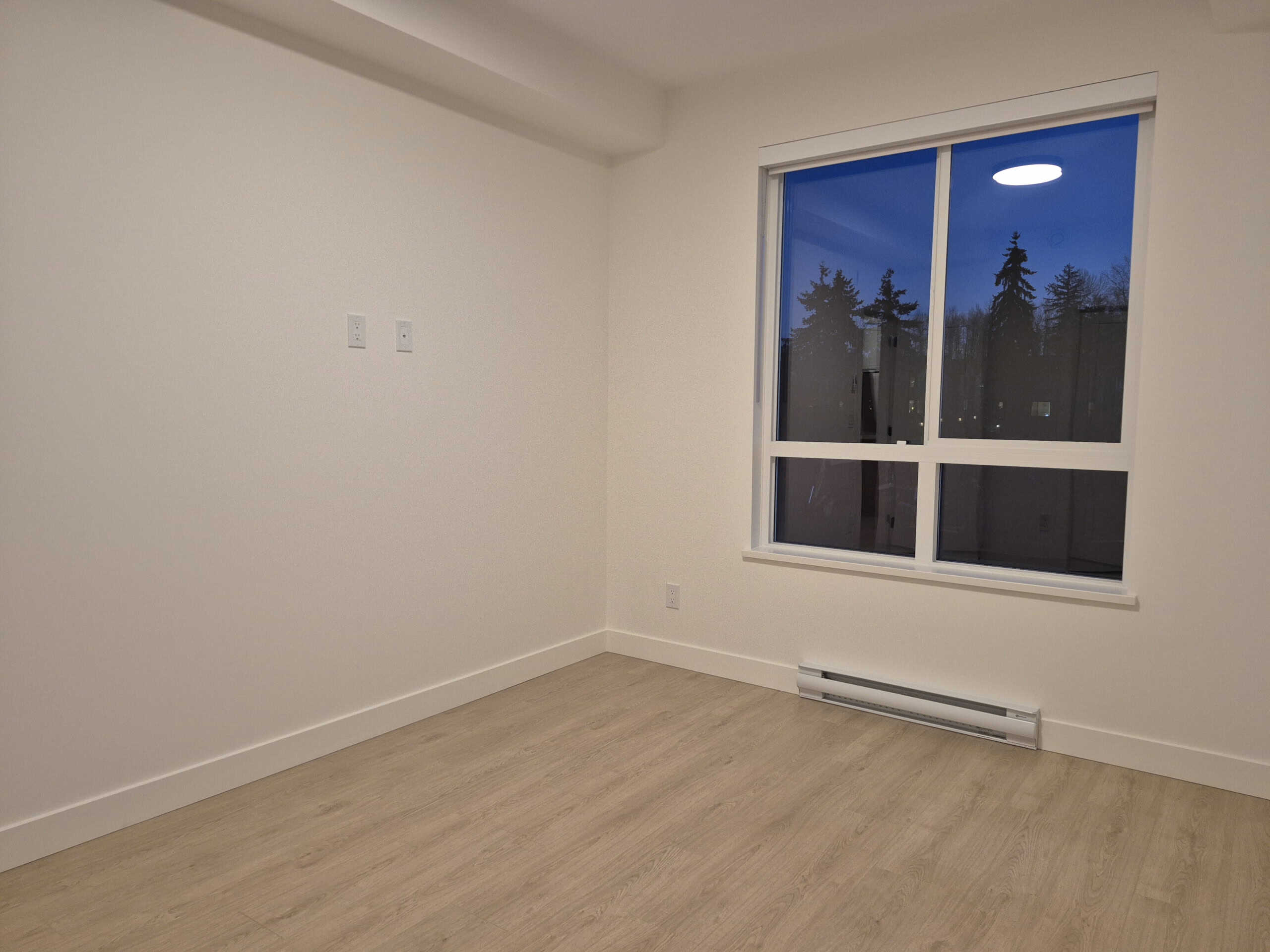 Bright empty room with large window showcasing trees, ideal for Vancouver homebuyers seeking modern, spacious interiors in BC real estate. Perfect for rental or family living.