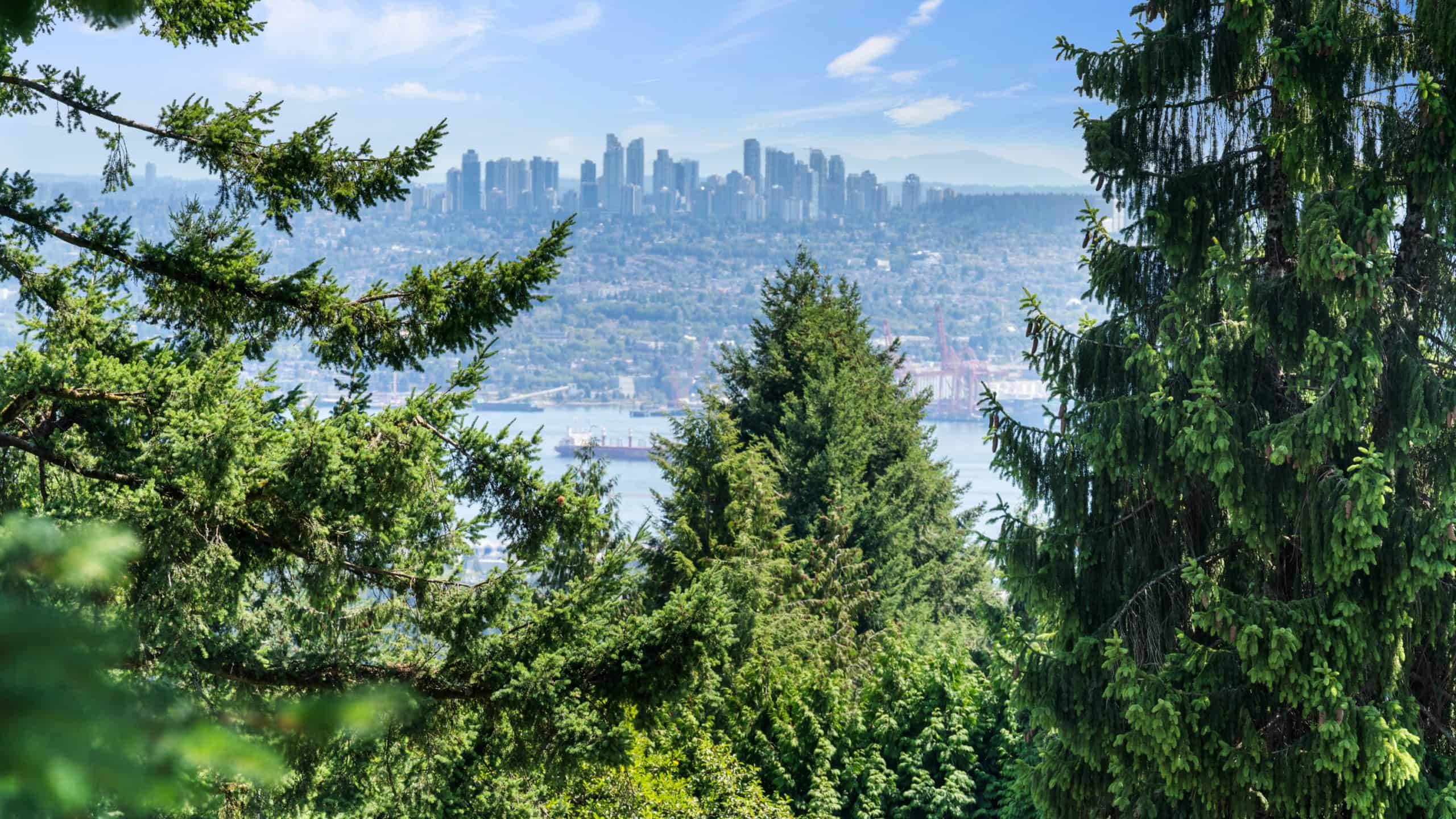 865 Andover Crescent West Vancouver Skyline View Beautiful view of West Vancouver skyline from 865 Andover Crescent, surrounded by lush greenery and tall trees. Perfect for luxury real estate buyers seeking scenic tranquility.