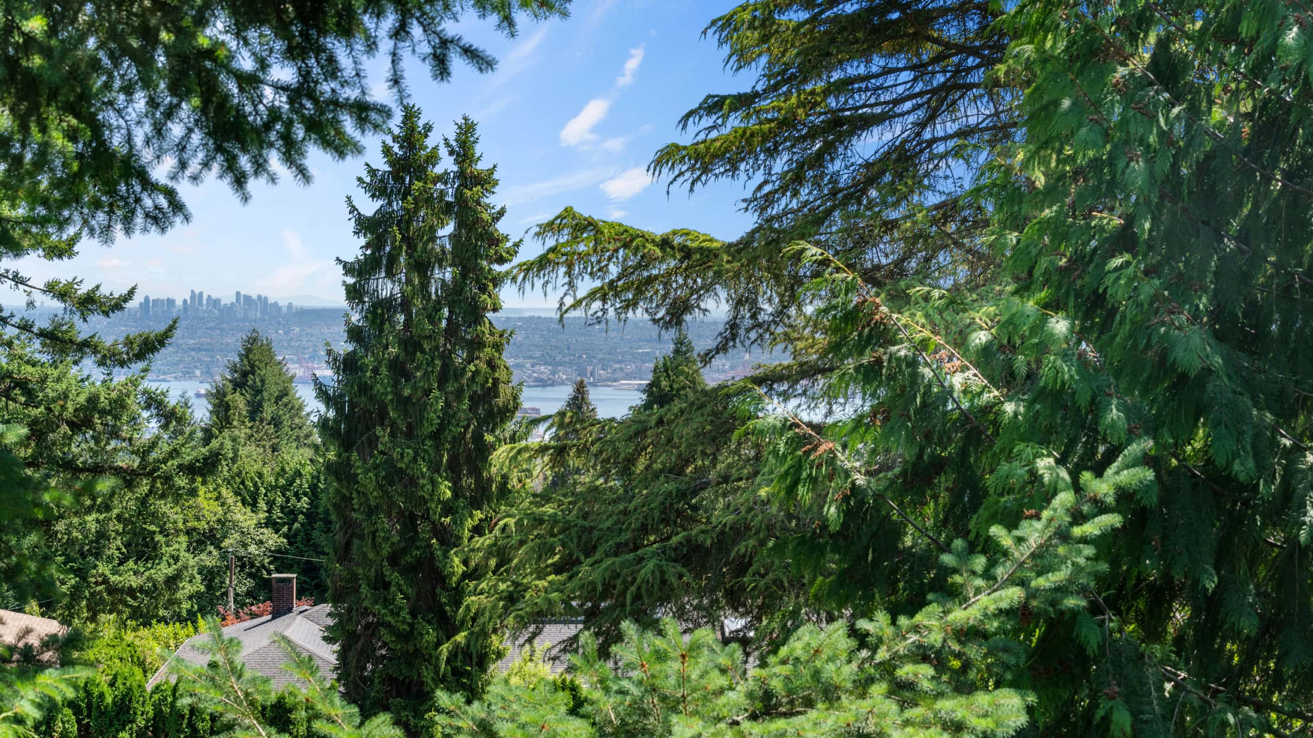 Elegant West Vancouver Home with Scenic Views Beautiful West Vancouver property with lush greenery and panoramic water views, showcasing a serene residential setting near 865 Andover Crescent.