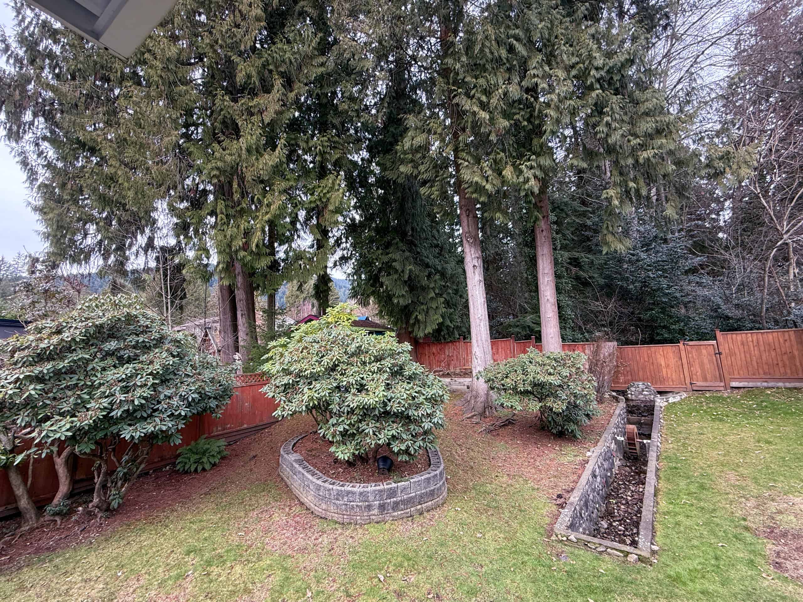 Beautiful landscaped backyard in North Vancouver with mature trees, shrubs, and a wooden fence, showcasing a peaceful outdoor space.