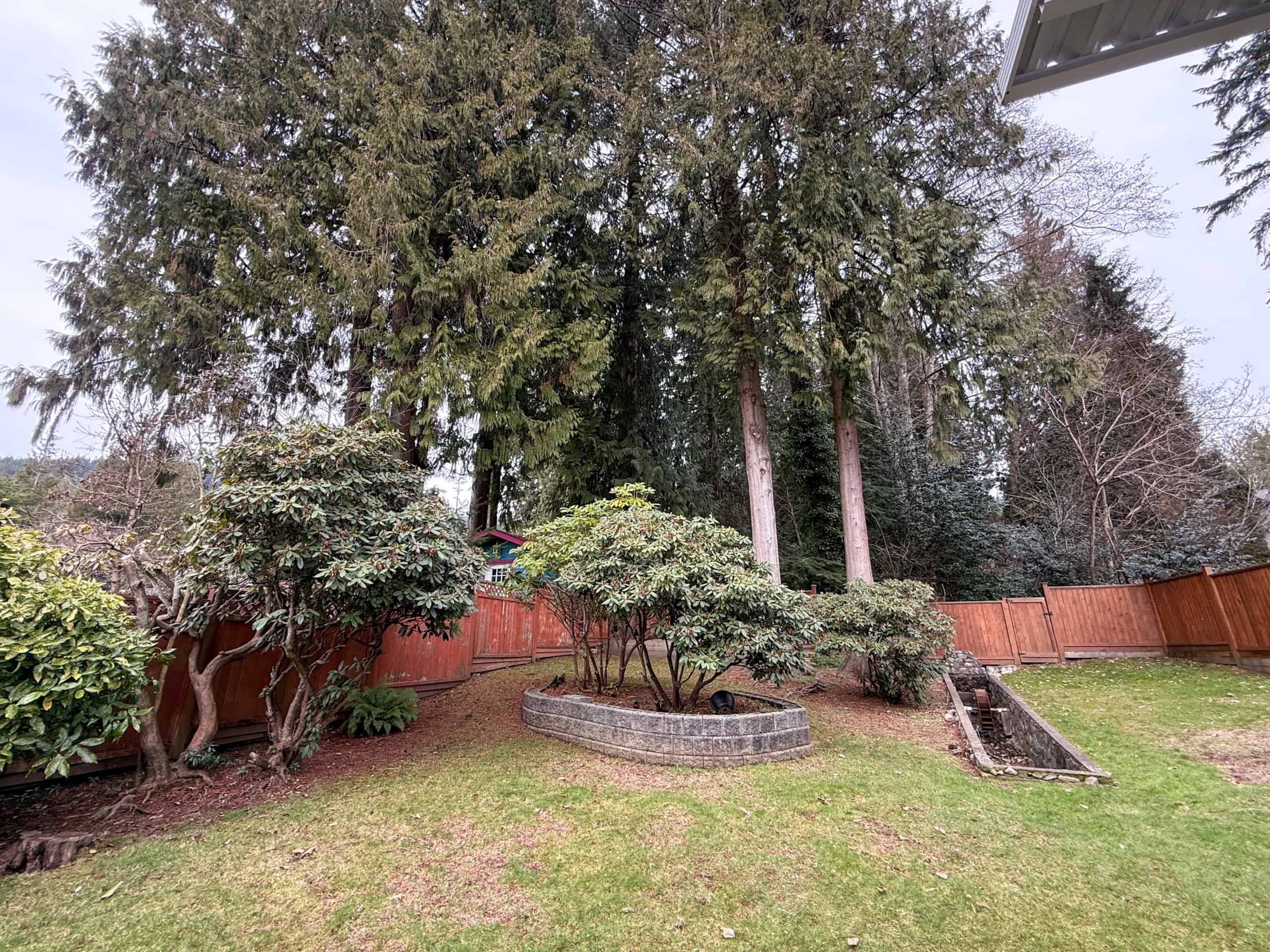 Spacious backyard featuring mature trees, lush greenery, and a well-maintained lawn, ideal for outdoor activities and family gatherings in North Vancouver.
