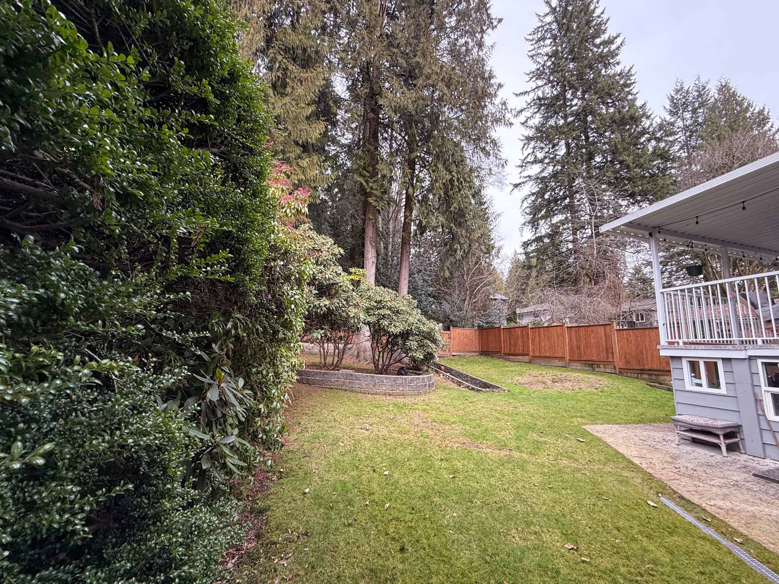 Spacious backyard in North Vancouver with lush greenery, mature trees, and a well-maintained lawn, ideal for outdoor living and family activities.