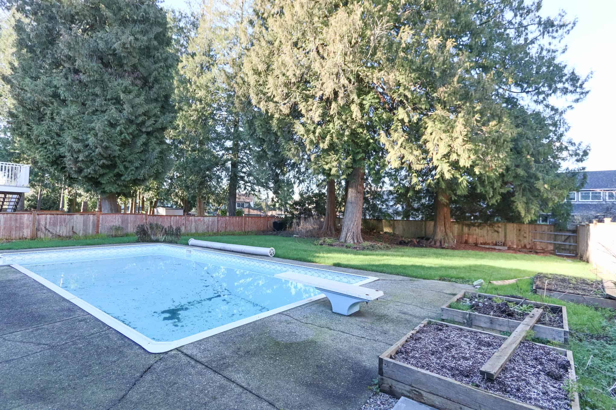 Bright backyard with swimming pool and lush trees in Delta.