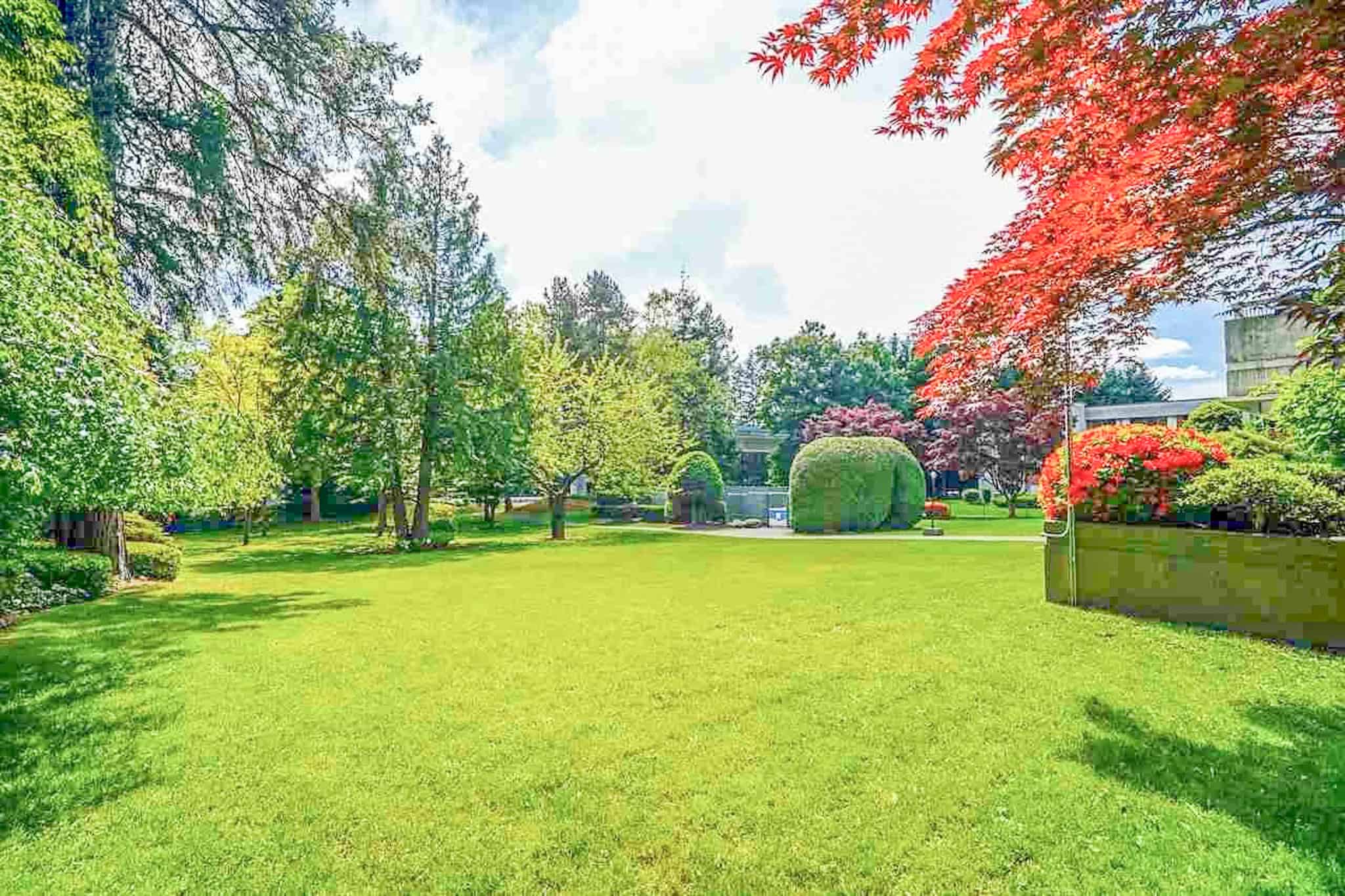 Bright and expansive backyard in Burnaby featuring lush green grass, mature trees, and vibrant foliage, perfect for outdoor activities and relaxation.
