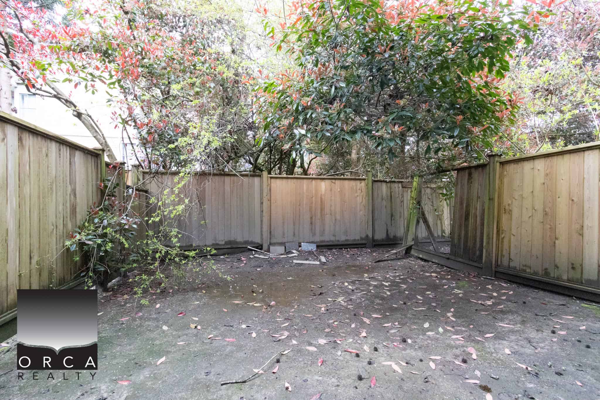 Bright, fenced backyard with mature trees and garden space in Richmond. Perfect for outdoor activities and family gatherings.
