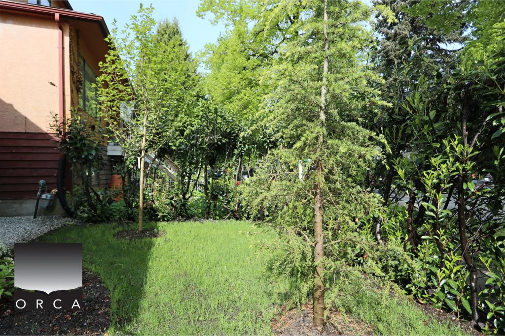 Beautiful backyard featuring vibrant green grass, tall trees, and lush shrubbery, creating a peaceful outdoor space. Perfect for relaxation or outdoor activities in a residential setting.