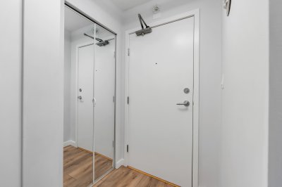 A hallway with a white door, a mirrored closet, and wooden flooring in a modern residential interior.